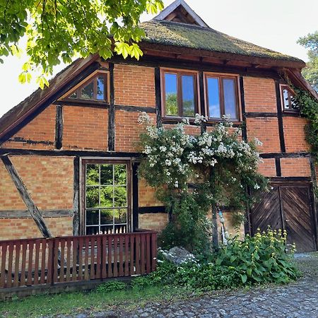 Pfarrhaus Tollensesee Penzlin ภายนอก รูปภาพ