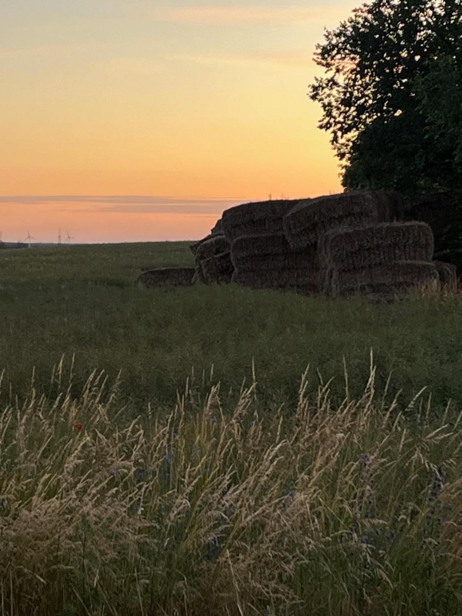 Pfarrhaus Tollensesee Penzlin ภายนอก รูปภาพ