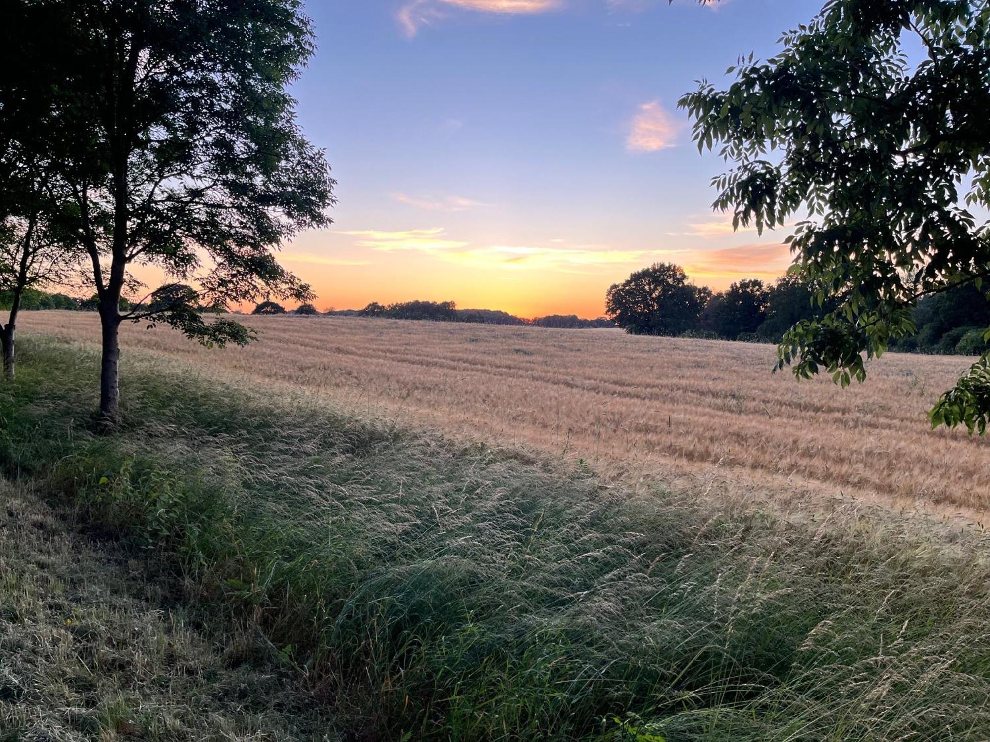 Pfarrhaus Tollensesee Penzlin ภายนอก รูปภาพ
