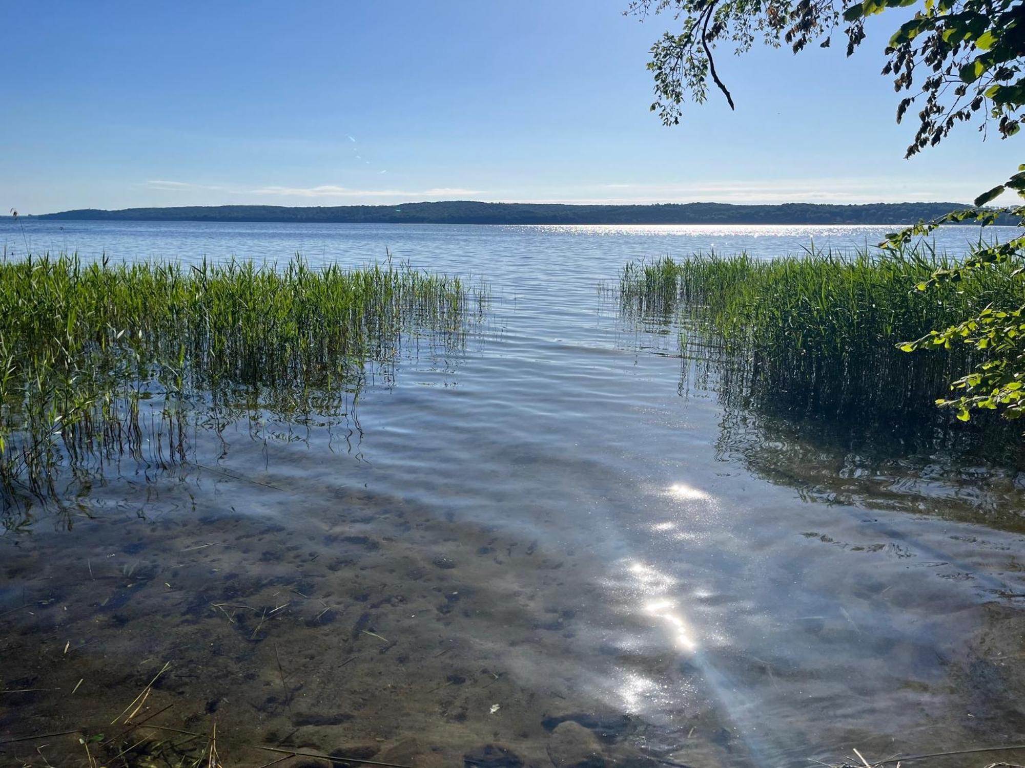 Pfarrhaus Tollensesee Penzlin ภายนอก รูปภาพ