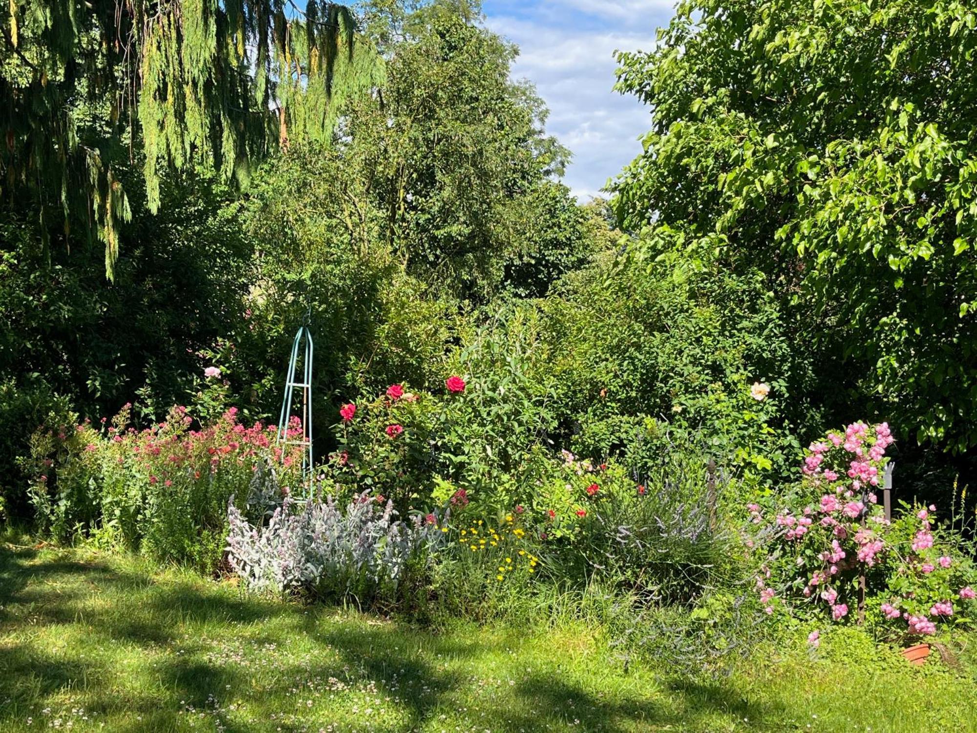 Pfarrhaus Tollensesee Penzlin ภายนอก รูปภาพ