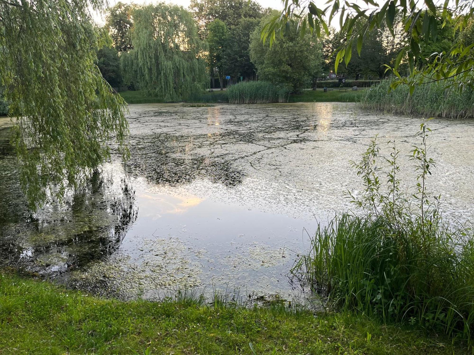 Pfarrhaus Tollensesee Penzlin ภายนอก รูปภาพ